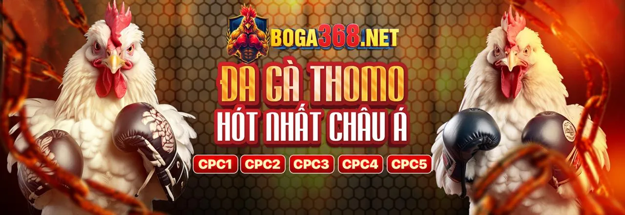 Chương trình đối tác KU77777